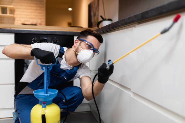 Best Flea Control Services  in Bayou Gauche, LA