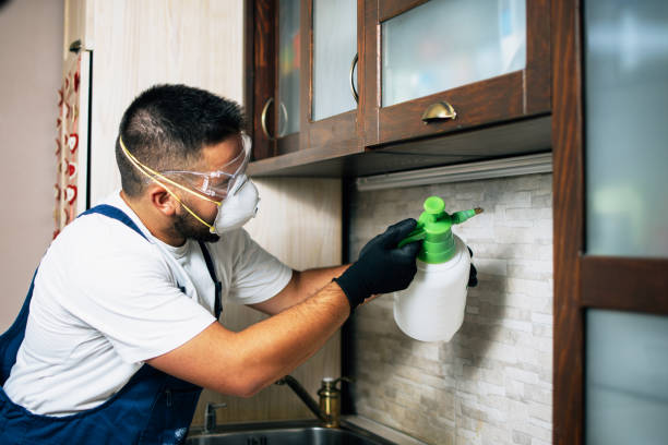 Best Pest Prevention Services  in Bayou Gauche, LA