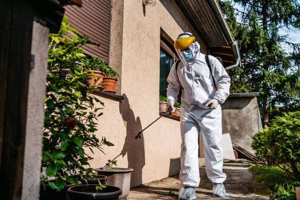 Best Best Pest Control Near Me  in Bayou Gauche, LA