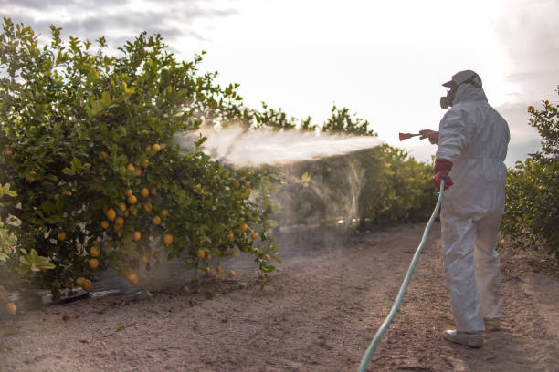 Best Pest Removal Services  in Bayou Gauche, LA