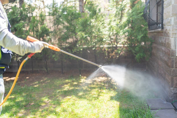 Best Emergency Pest Control  in Bayou Gauche, LA