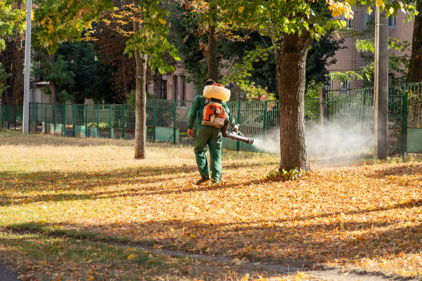 Best Insect Control  in Bayou Gauche, LA