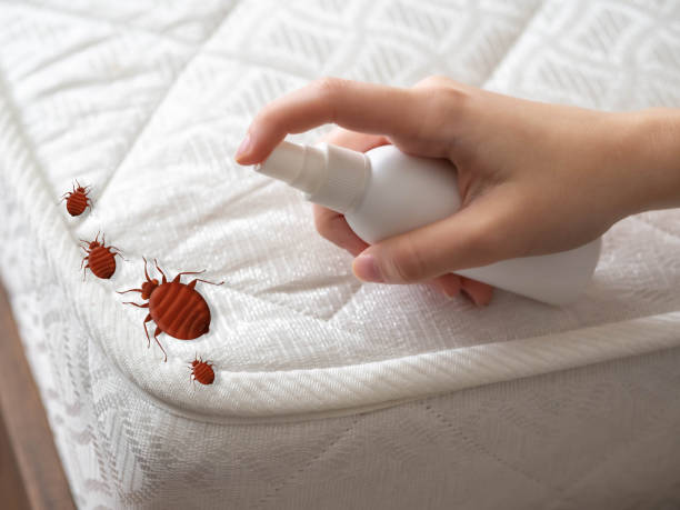 Best Commercial Pest Control Services  in Bayou Gauche, LA