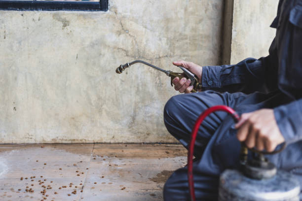 Best Exterminator Services  in Bayou Gauche, LA