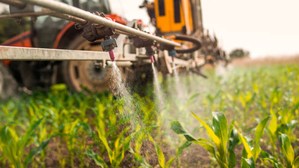 Best Mosquito Control Services  in Bayou Gauche, LA